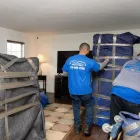Business 1 image GOTHAM MOVING SYSTEMS in Brooklyn NY