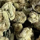 Business 8 image GRADE A DISPENSARY Marijuana in Oklahoma City OK