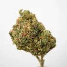 Business 9 image GRADE A DISPENSARY Marijuana in Oklahoma City OK