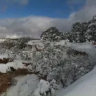 Business 7 image GRAND ADVENTURES TOURS Travel Agencies in Las Vegas NV