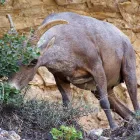 Business 11 image GRAND ADVENTURES TOURS Travel Agencies in Las Vegas NV