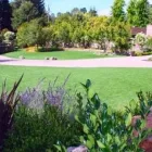 Business 6 image GRASS CONCEPTS Landscape Contractors in Tulsa OK
