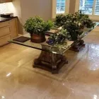 Business 3 image GREAT AMERICAN CARPET AND STONE CARE Pet Odor Removal in Tomball TX