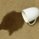 Business 4 image GREAT AMERICAN CARPET AND STONE CARE Pet Odor Removal in Tomball TX