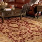 Business 6 image GREAT AMERICAN CARPET AND STONE CARE Pet Odor Removal in Tomball TX