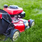 Business 1 image GREEN IS GROWTH LLC Tree Trimming Service in Baltimore MD