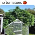 Business 10 image GREEN VIBES DISPENSARY Best Dispensary in Oklahoma City OK