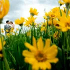 Business 1 image GREENER VISUALS PHOTOGRAPHY Wedding Photography & Videography in Missoula MT