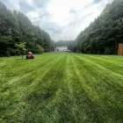 Business 1 image GREENPAL LAWN CARE OF SEATTLE Lawn Maintenance in Seattle WA