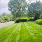Business 2 image GREENPAL LAWN CARE OF SEATTLE Lawn Maintenance in Seattle WA