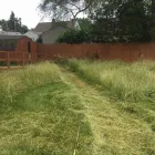 Business 3 image GREENPAL LAWN CARE OF SEATTLE Lawn Maintenance in Seattle WA