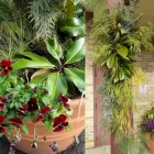 Business 6 image GREENWAYSKC in Kansas City MO