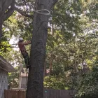 Business 9 image GREENWAYSKC in Kansas City MO