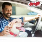 Business 1 image GREG'S JAPANESE AUTO Car Repair and Maintenance in Puyallup WA