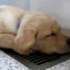 Business 5 image GRIFFITH ENERGY SERVICES, INC. Plumbing & HVAC Equipment & Supplies in Baltimore MD