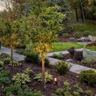 Business 2 image GROUND ONE Landscape Architects & Designers in Bloomington MN