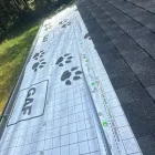 Business 3 image GUTTER & ROOF SOLUTIONS NW Roofing Contractors in Auburn WA