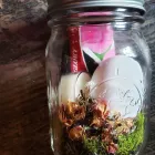 Business 6 image GYPSY GRACE & THE VINTAGE GOAT Housewares in Akron OH