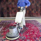 Business 6 image HADEED-MERCER RUG CLEANING, INC. Carpet Cleaning in Richmond VA