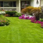 Business 2 image HAELO TOTAL HOUSE CARE Window Cleaning Service in San Diego CA