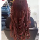 Business 11 image HAIRDOCTORS SPECIALTY SALONS - EUREKA in Miami FL