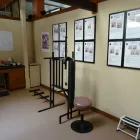 Business 4 image HAMILTON CHIROPRACTIC OFFICES in Berkeley CA