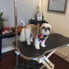 Business 3 image HAPPY PETS SALON & SPAW in Columbia SC