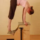 Business 5 image HARMONY MIND BODY FITNESS INC Yoga Instruction in Chicago IL