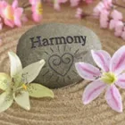 Business 2 image HARMONY THAI MASSAGE HOUSTON Complementary & Alternative Medicine in Houston TX