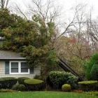 Business 3 image HASGOE Water Damage Restoration in Evansville IN