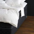Business 8 image HASTENS STORE DALLAS Pillows in Dallas TX