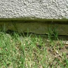Business 10 image HD FOUNDATIONS Masonry & Stonework Contractors in Arlington TX