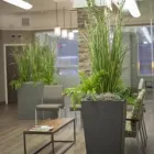 Business 2 image HEALTH LOFT PHYSICAL THERAPY Physical Therapy Clinics in Chicago IL