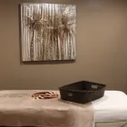 Business 5 image HEALTHY HABITS THERAPEUTIC MASSAGE Reflexologists in Indianapolis IN