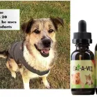 Business 1 image HERBAN MOTHER LLC CBG in Oklahoma City OK