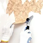 Business 1 image HERNANDEZ PAINTING Servicios de pintura in San Jose CA