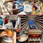 Business 1 image HF COORS, DINNERWARE MADE 100% IN USA Shopping & Retail in Tucson AZ