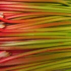 Business 1 image HIGH ALTITUDE RHUBARB Wholesale Grocers in Colorado Springs CO