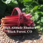 Business 3 image HIGH ALTITUDE RHUBARB Wholesale Grocers in Colorado Springs CO