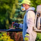 Business 4 image HILL CITY TERMITE REMOVAL EXPERTS Pest Control Services in Los Angeles CA