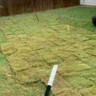 Business 1 image HILLSIDE LAWN & LANDSCAPES Plant Nurseries & Garden Centers in San Antonio TX