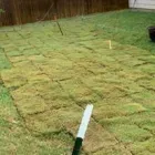 Business 4 image HILLSIDE LAWN & LANDSCAPES Plant Nurseries & Garden Centers in San Antonio TX