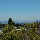 Business 5 image HILLSIDE VILLAGE Temporary Housing in Berkeley CA