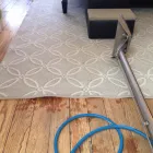 Business 2 image HIPPO CARPET CLEANING OF PERRY HALL Upholstery Cleaners in Nottingham MD