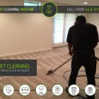 Business 4 image HIPPO CARPET CLEANING OF PERRY HALL Upholstery Cleaners in Nottingham MD