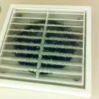 Business 9 image HIPPO CARPET CLEANING OF PERRY HALL Upholstery Cleaners in Nottingham MD