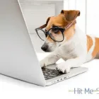 Business 1 image HIT ME SEO Search Engine Optimization in Gaithersburg MD