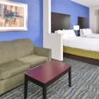 Business 16 image HOLIDAY INN EXPRESS & SUITES SAN ANTONIO SOUTH, AN IHG HOTEL Business & Conference Centers in San Antonio TX