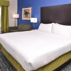 Business 23 image HOLIDAY INN EXPRESS & SUITES SAN ANTONIO SOUTH, AN IHG HOTEL Business & Conference Centers in San Antonio TX