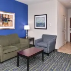 Business 26 image HOLIDAY INN EXPRESS & SUITES SAN ANTONIO SOUTH, AN IHG HOTEL Business & Conference Centers in San Antonio TX